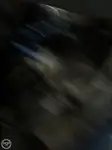 ספינת טרולר למכירה