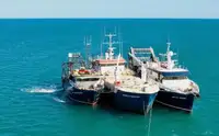 כלי שיט אספקה למכירה