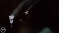 ספינת טרולר למכירה