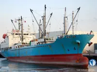 ספינת מקרר למכירה