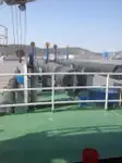 דחפור למכירה
