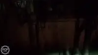 ספינת טרולר למכירה