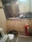 סירת סיור למכירה