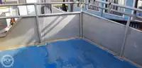 קטמרן למכירה
