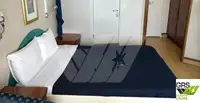 Ro-Ro ship למכירה