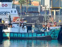 Purse seiner למכירה
