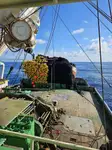 Purse seiner למכירה