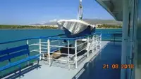 Ro-Ro ship למכירה