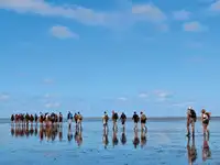 גוררת למכירה