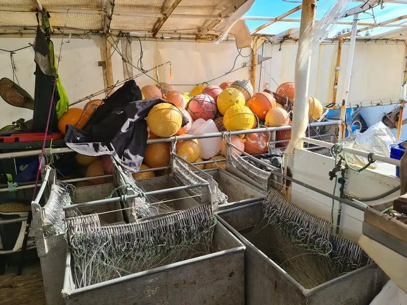ספינת דיג בשיטת 'לונגליין' למכירה