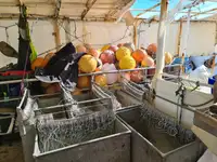ספינת דיג בשיטת 'לונגליין' למכירה
