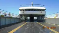 Ro-Ro ship למכירה