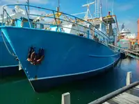 Trawler למכירה