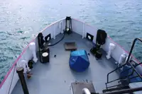 General Cargo/Multi-purpose למכירה