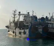 Large freezer trawler למכירה