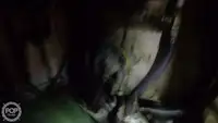 ספינת טרולר למכירה