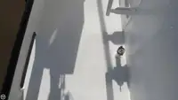 ספינת טרולר למכירה