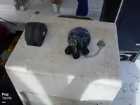ספינת טרולר למכירה