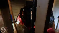 ספינת טרולר למכירה