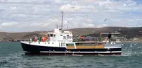 Purse seiner למכירה
