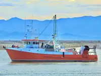 Trawler למכירה