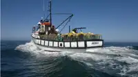 Trawler למכירה