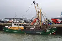 Trawler למכירה
