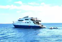 תמיכה בצלילה למכירה