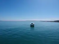 קטמרן למכירה