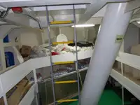 כלי שיט להובלת מטענים רופפים למכירה