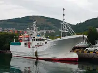 Trawler למכירה