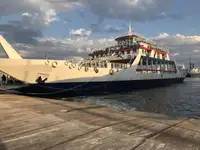 Ro-Ro ship למכירה