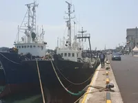 ספינת טרולר למכירה