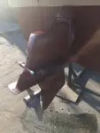 ספינת טייס למכירה
