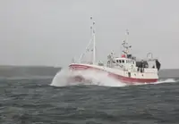 Trawler למכירה