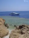 תמיכה בצלילה למכירה