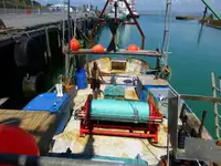 Trawler למכירה