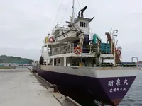 General Cargo/Multi-purpose למכירה
