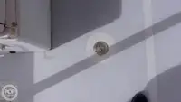 תמיכה בצלילה למכירה