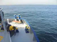 ספינת מקרר למכירה