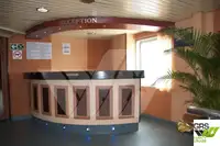 Ro-Ro ship למכירה