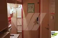 ספינת Ro-Ro למכירה