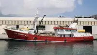 כלי שיט להובלת מטענים רופפים למכירה