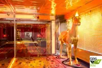 אונית תענוגות למכירה
