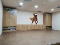 ספינת מקרר למכירה