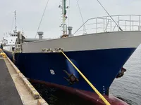 General Cargo/Multi-purpose למכירה