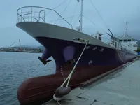 General Cargo/Multi-purpose למכירה