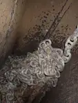 כלי שיט להובלת מטענים רופפים למכירה