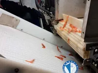 ספינת טרולר למכירה