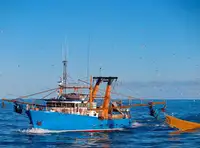 Trawler למכירה